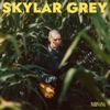'Nirvana - Single' by Skylar Grey