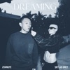 Cover art for DREAMING - Single by Skylar Grey