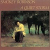 Cover art for A Quiet Storm by Smokey Robinson