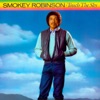Cover art for Touch the Sky by Smokey Robinson