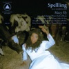 Cover art for Mazy Fly by Spellling