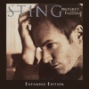 Cover art for Mercury Falling (Expanded Edition) by Sting