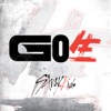Cover art for GO LIVE by Stray Kids