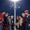 Cover art for TOP - Single by Stray Kids