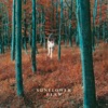 Cover art for I Hear Voices / The Stalker - Single by Sunflower Bean