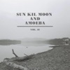 'Sun Kil Moon and Amoeba, Vol. II' by Sun Kil Moon