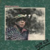 Cover art for Elliptical Orbits by Sun Ra and His Arkestra