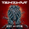 Cover art for Herz aus Stein by Tanzwut