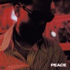 'PEACE' by Terrace Martin