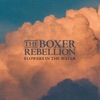 Cover art for Flowers In The Water - Single by The Boxer Rebellion