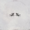 Cover art for Echo - Single by The Chainsmokers