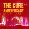 Cover art for Anniversary: 1978 - 2018 Live In Hyde Park London (Live) by The Cure