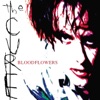Cover art for Bloodflowers by The Cure