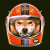 Cover art for Doom Boy - Single by The Dirty Nil