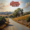 Cover art for Walk This Road by The Doobie Brothers