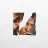 Cover art for It Didn't Matter - Single by The Drums
