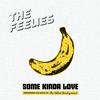 Cover art for Some Kinda Love: Performing the Music of the Velvet Underground by The Feelies