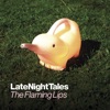 Cover art for Late Night Tales: The Flaming Lips (DJ Mix) by The Flaming Lips