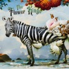 Cover art for HOPE by The Flower Kings