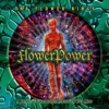 Cover art for Flower Power (2022 Remaster) by The Flower Kings
