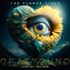 Cover art for Look At You Now by The Flower Kings