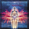 Cover art for Unfold the Future (Bonus Track Edition) by The Flower Kings