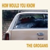 Cover art for How Would You Know - Single by The Grogans