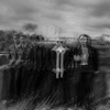 Cover art for Long Shadows - Single by The Lathums