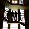 Cover art for Stellar Cast - Single by The Lathums
