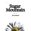 Cover art for Sugar Mountain - Single by The Lumineers