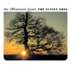 'The Sunset Tree (2025 Remaster)' by The Mountain Goats