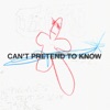 Cover art for Can't Pretend To Know - Single by The Murder Capital