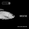 Cover art for Breathe (Mefjus & Camo & Krooked Remix) - Single by The Prodigy