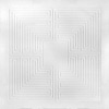 Cover art for Hidden [MMXX] by These New Puritans