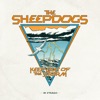 Cover art for Keep Out Of The Storm (Deluxe) by The Sheepdogs