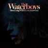 Cover art for How Long Will I Love You 2021 - Single by The Waterboys