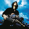 Cover art for A Rock in the Weary Land (Expanded Edition) by The Waterboys