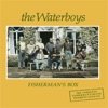 Cover art for Fisherman's Box: The Complete Fisherman's Blues Sessions (1986 - 1988) by The Waterboys