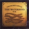 Cover art for The Secret Life of the Waterboys (1981 - 1985) by The Waterboys