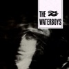 Cover art for The Waterboys by The Waterboys