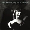 Cover art for This Is the Sea (Deluxe Version) by The Waterboys