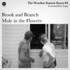 Cover art for Duets #2 - Single by The Weather Station