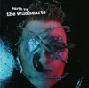 Cover art for Earth Versus the Wildhearts by The Wildhearts