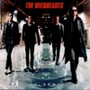 Cover art for Endless, Nameless by The Wildhearts