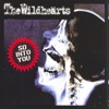 Cover art for So Into You by The Wildhearts