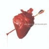 Cover art for The Best of the Wildhearts by The Wildhearts