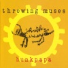 'Hunkpapa' by Throwing Muses