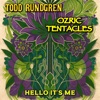'Hello It's Me - Single' by Todd Rundgren