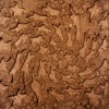 Cover art for Unerthed: Hole Erth Unplugged by Toro y Moi