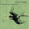 Cover art for Blink the Brightest by Tracy Bonham